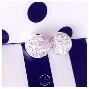 Metallic Silver Flat Druzy on Silver Posts Studs Earrings